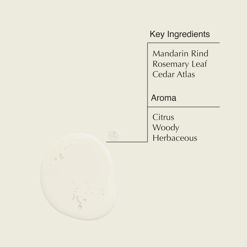 Aesop Reverence & Resurrection Aromatique Hand Wash Set | Gently Cleanses & Exfoliates for Smooth, Refreshed, and Supple Hands | 16.9 oz / 500mL